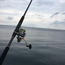 夕マヅメにジグサビキ